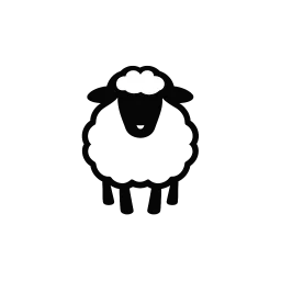 Black Sheep Travel Co.